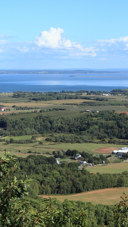 Kings County Homes For Sale